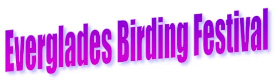 Everglades Birding Festival