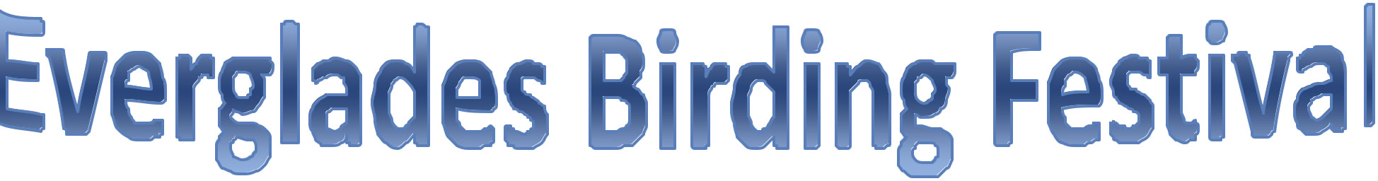 Everglades Birding Festival