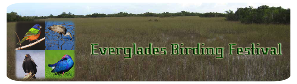 Paddy Cunningham's Everglades Birding Festival